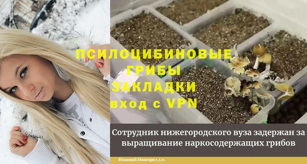 МДПВ Абинск