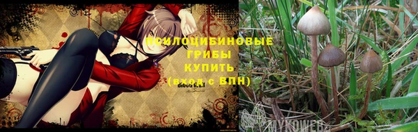 прущие крисы Абдулино