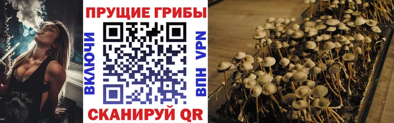 Галлюциногенные грибы GOLDEN TEACHER  Дербент 