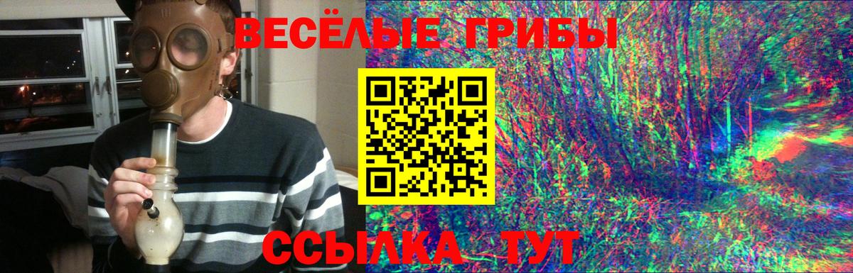 где купить наркотик  Вход с VPN  Дербент  Псилоцибиновые грибы мухоморы 
